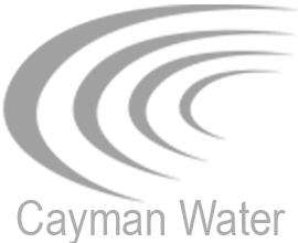 CW Logo